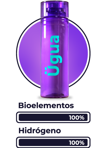 DESCRIPCION-ÜGUA-PRIM-MORADA