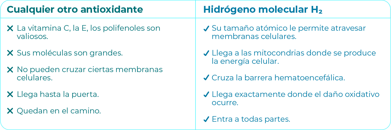Cuadro 1