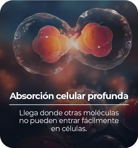 Razón 2